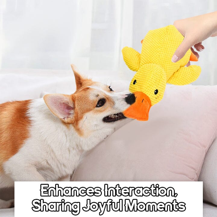 Ceoerty™Pet Dog Stress Relief Toy - Assault Duck English CSXH 